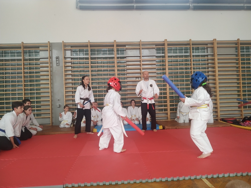 Pokaz Combat Aikido